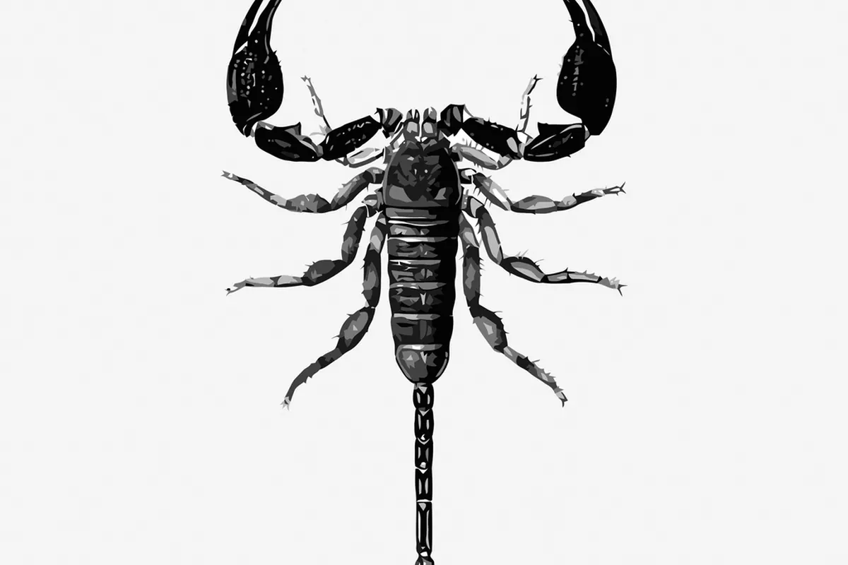 Skorpioni unessa