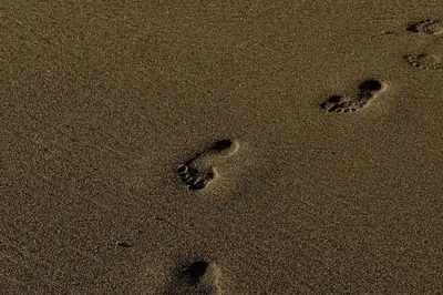 Fotspår som leder bort över en öde sandstrand