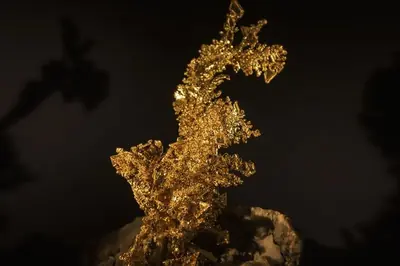En klump naturligt guld som fångar ljuset mot mörk bakgrund