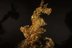 En klump naturligt guld som fångar ljuset mot mörk bakgrund