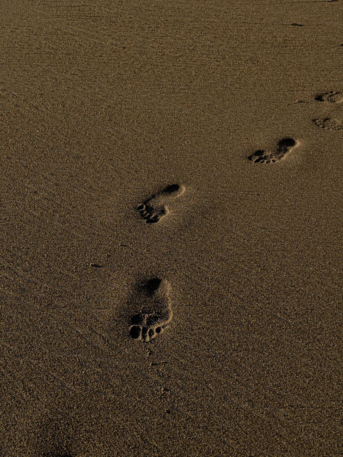 Fotspår som leder bort över en öde sandstrand