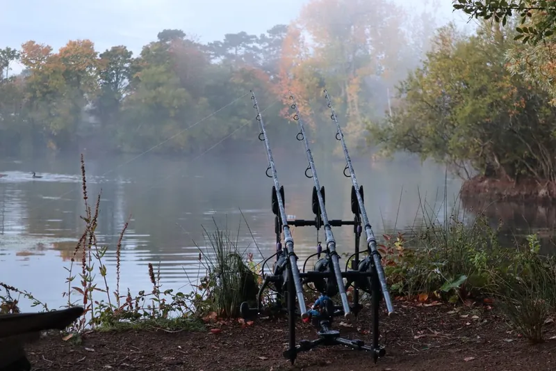 Bild till drömmen om att fiska